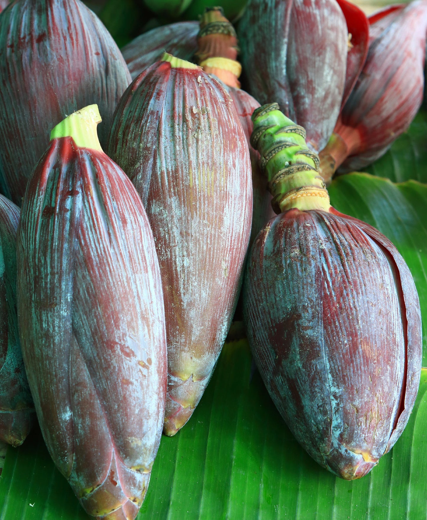 WS PF Banana Heart (ea)