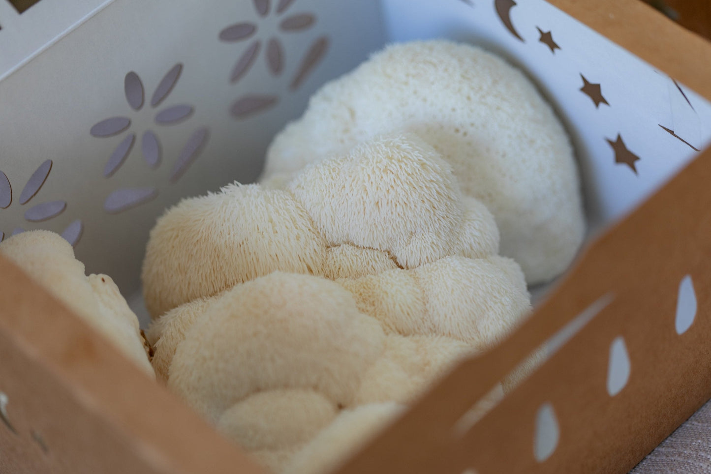 PF Lions Mane (lb)