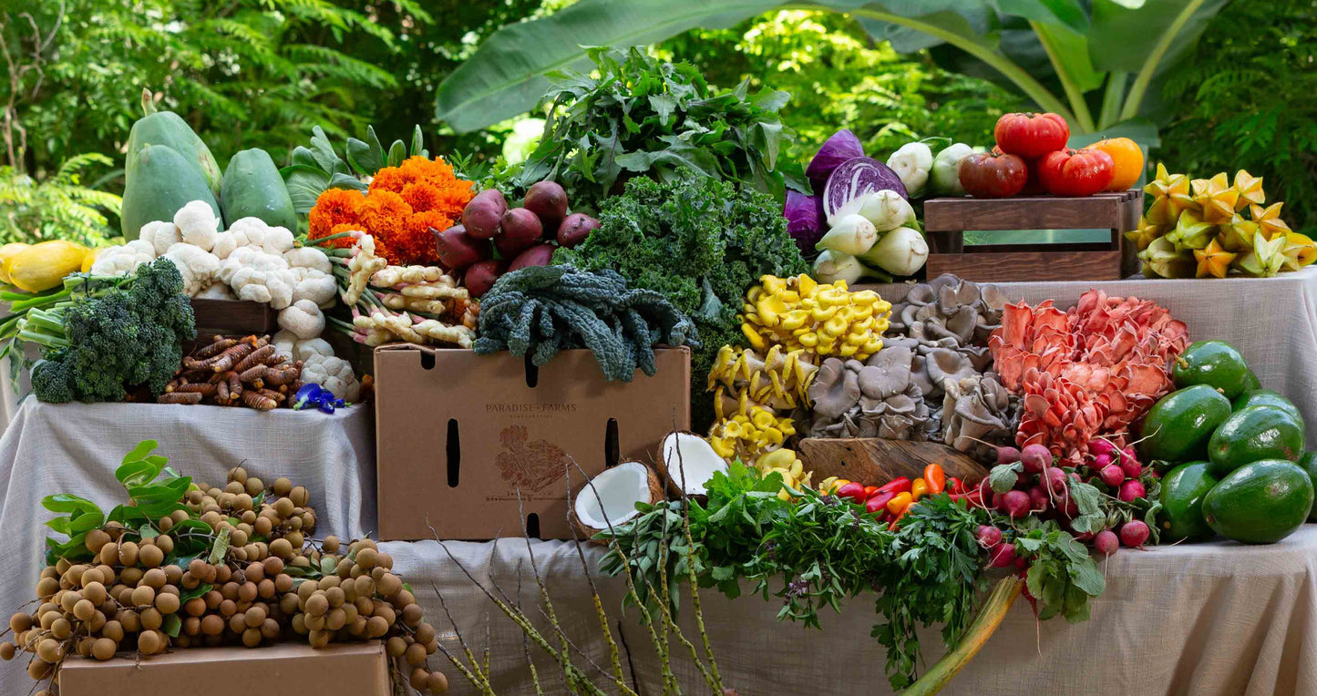 Spring Season CSA - February 4th to April 29th, 2025