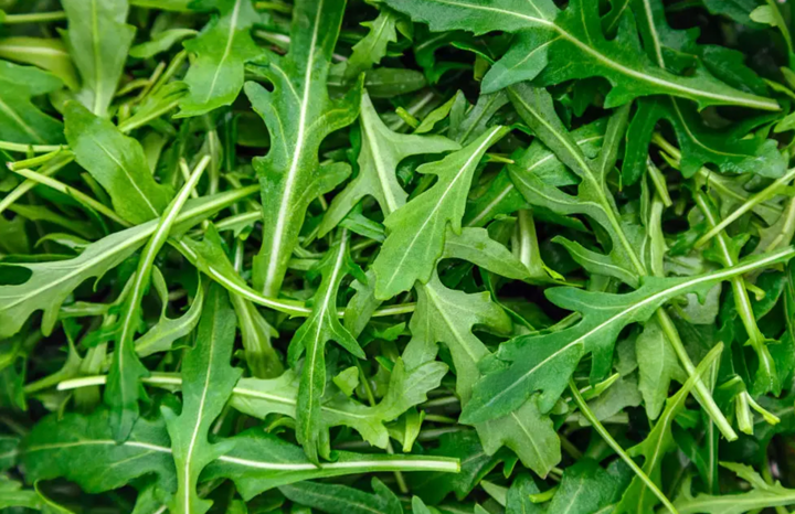 PF Arugula (1/2 lb)
