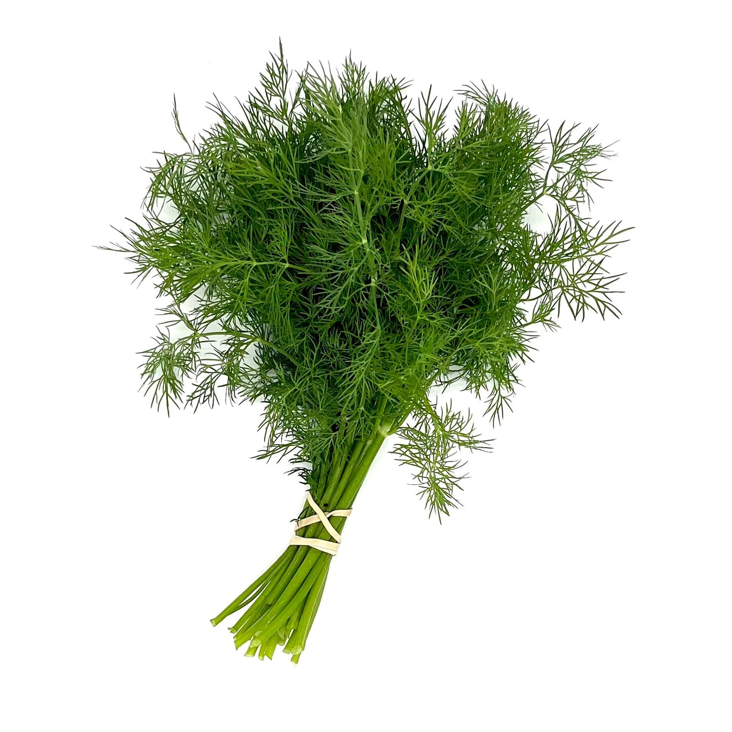 PF Dill (bch)