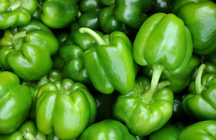 Pepper Green Bell (ea)