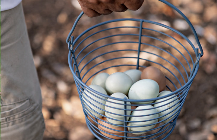 Paradise Farms Eggs (dz)