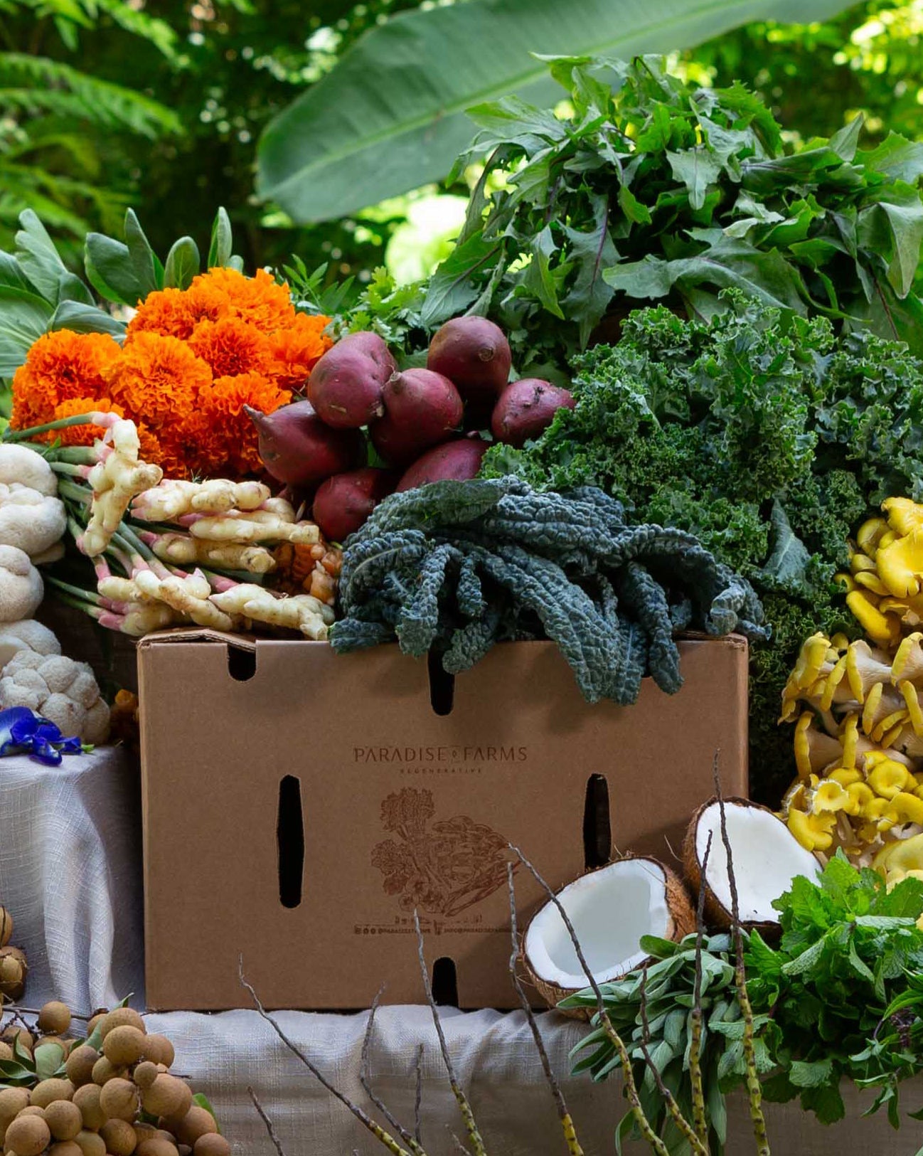 Spring Season CSA - February 4th to April 29th, 2025