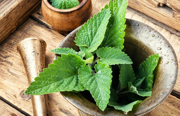 PF Lemon Balm (bch)