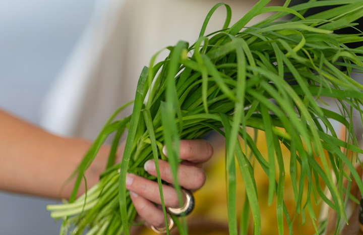 WS PF Garlic Chives (bch)