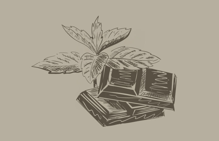PF Mint Chocolate (bch)