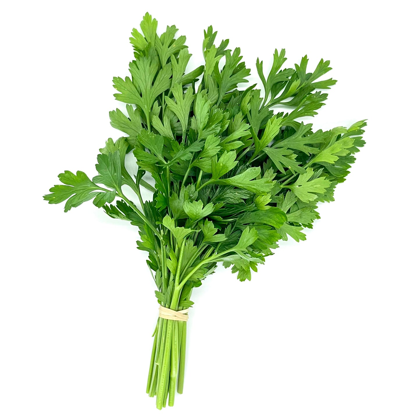 PF Parsley (bch)