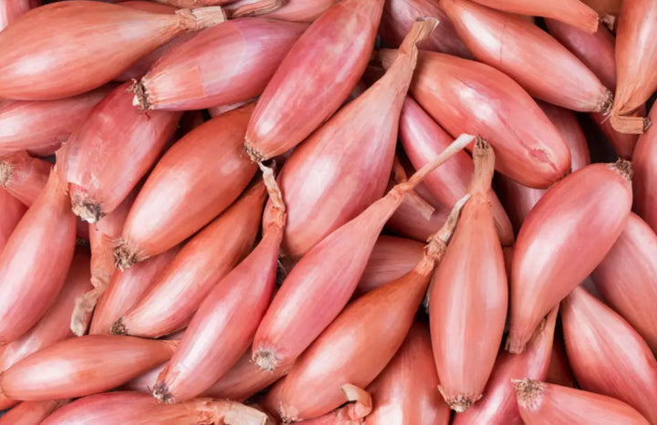 Shallot (ea)