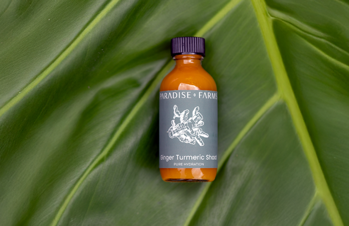 WS Ginger turmeric shot