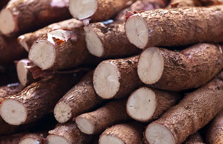 PF Yuca Large (bunch)