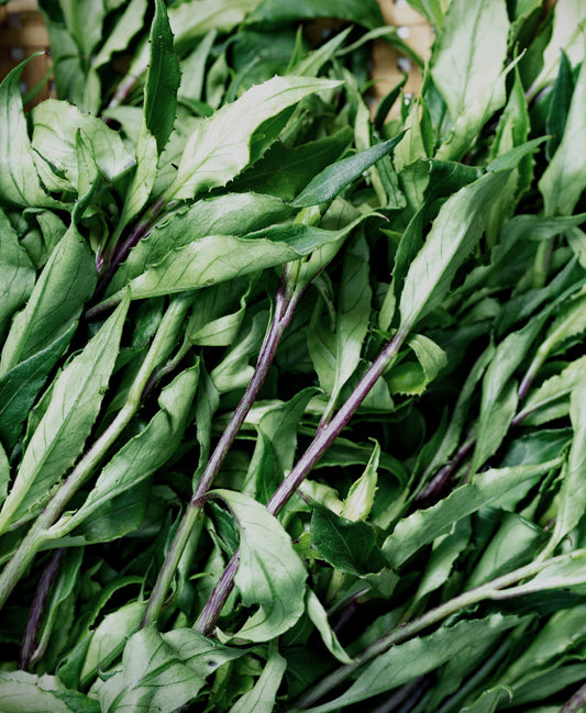 WS PF Longevity Spinach (lb)