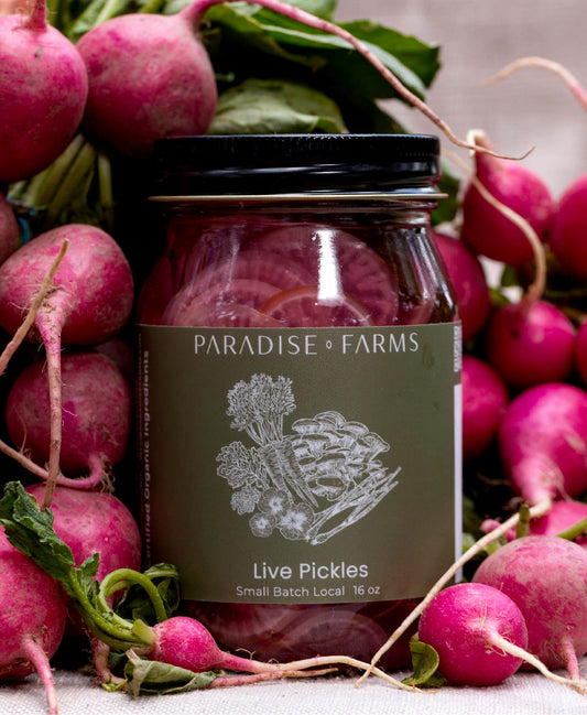 Lacto Radish