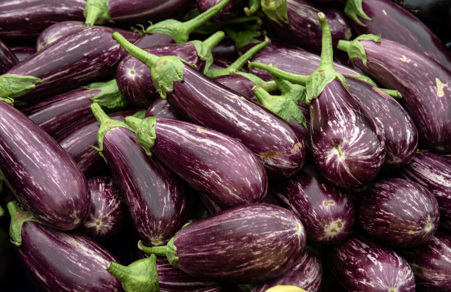 Asian Eggplant (pound)