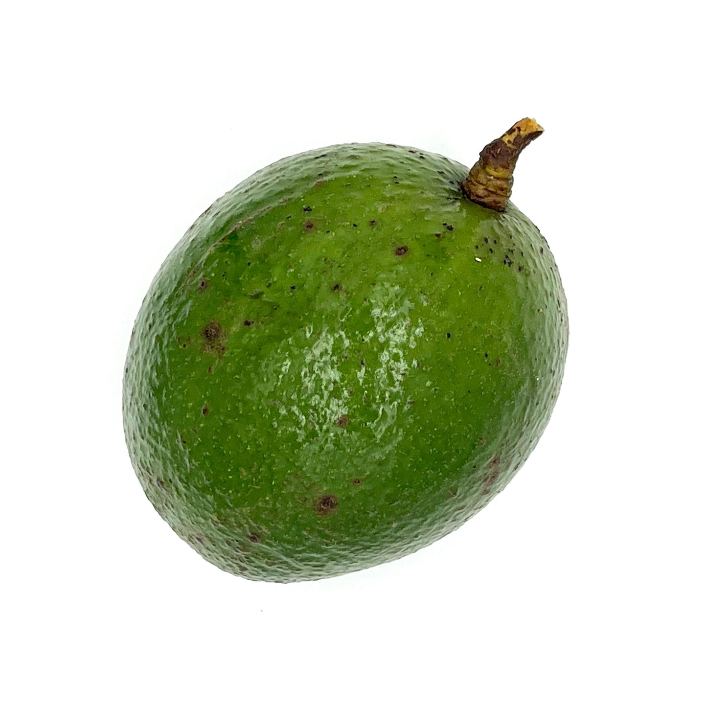 Avocado (per pound)