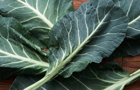 PF Collards (bch)