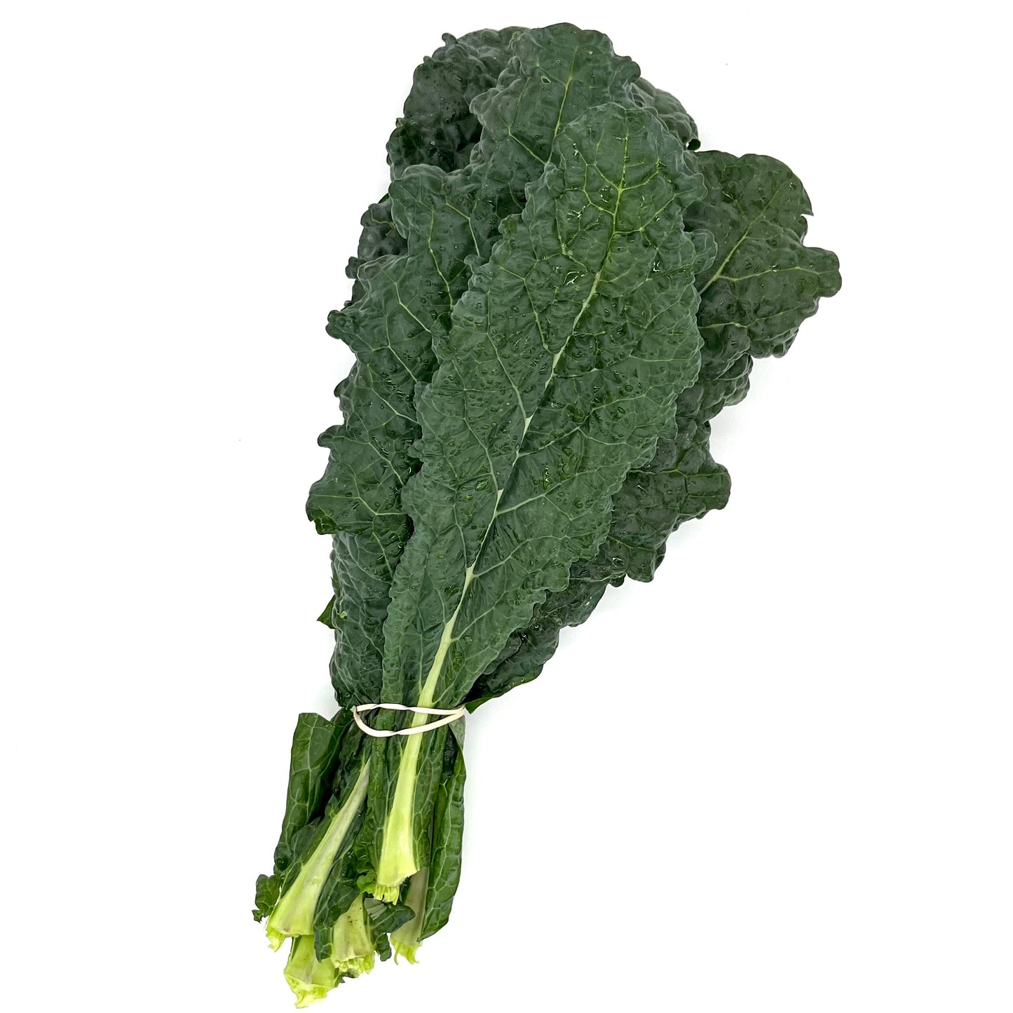 Kale Black Magic (bch)