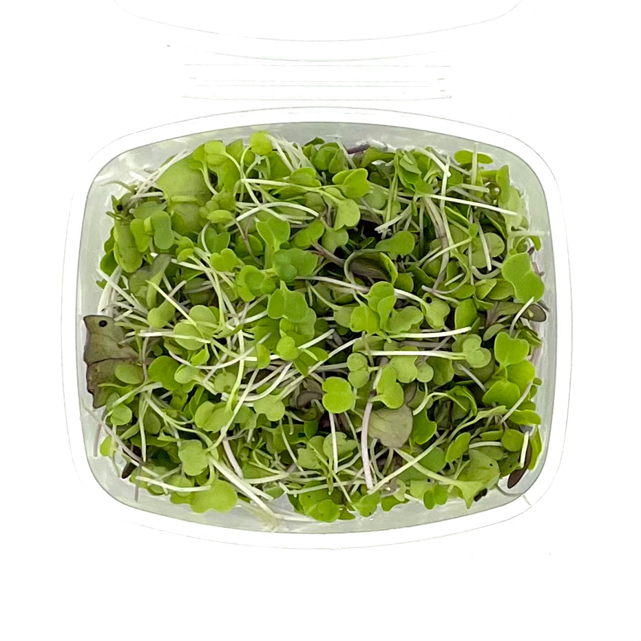 Microgreens, Fenugreek (clam)