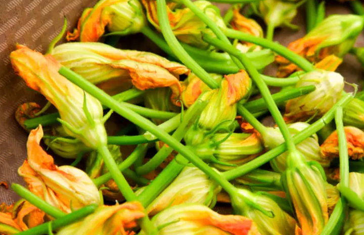 Blossoms Squash (ea)