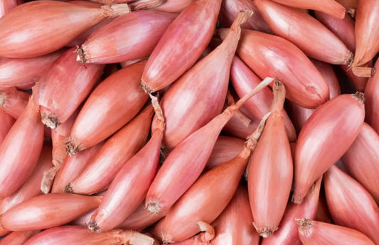 Shallot (ea)