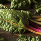 Swiss Chard (bch)